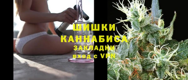 сатива Алзамай