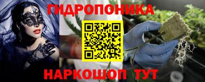 дживик Ярославль