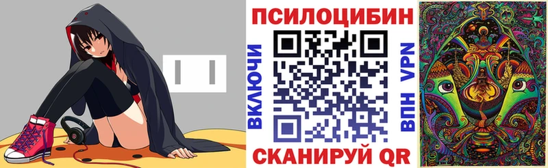 Галлюциногенные грибы Psilocybine cubensis Боровичи