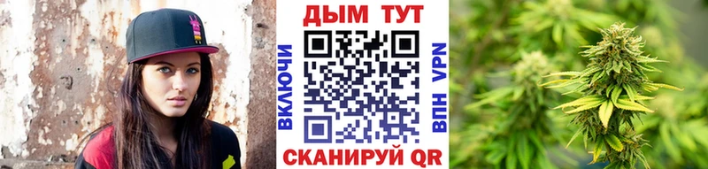 Каннабис OG Kush  Боровичи 